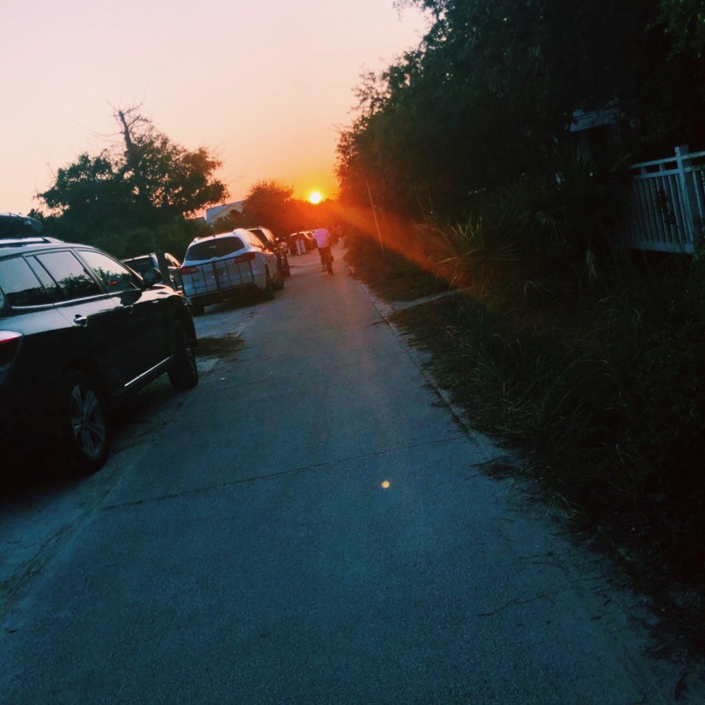 Meet your Posher, Isabella